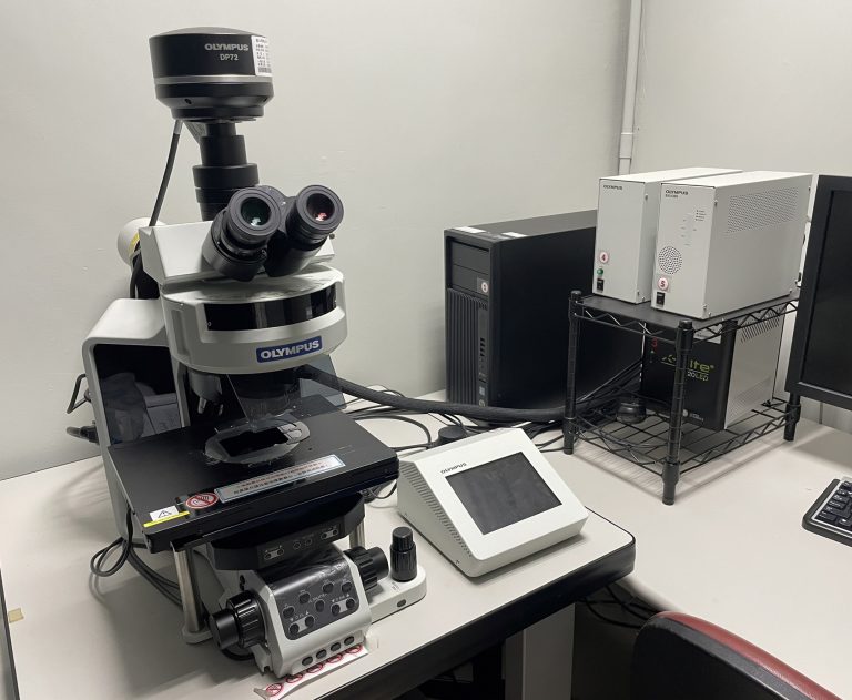 正立式螢光顯微鏡 -Olympus BX63