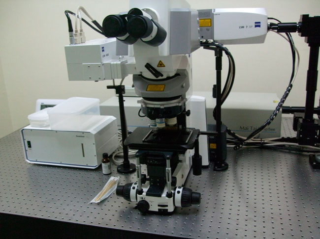 雙光子雷射掃描共軛焦顯微鏡 Confocal Microscope-Zeiss LSM7MP