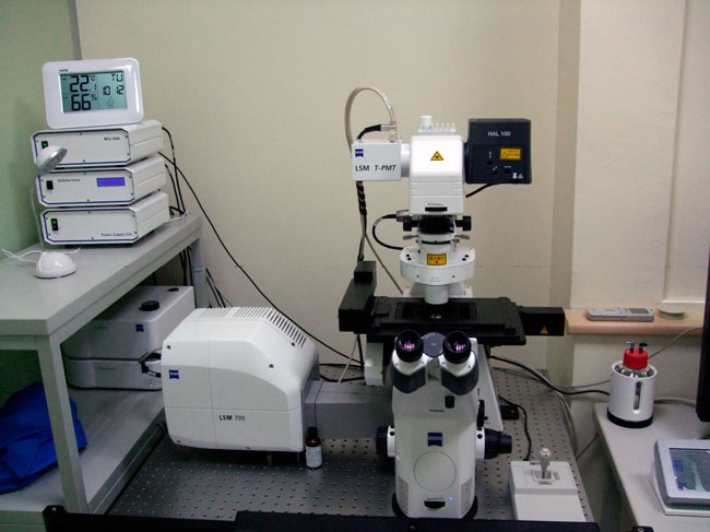 雷射掃描共軛焦顯微鏡 Confocal Microscope-Zeiss LSM700