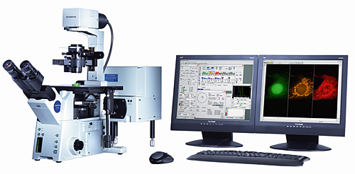 雷射掃描共軛焦顯微鏡 Confocal Microscope-Olympus FV1000