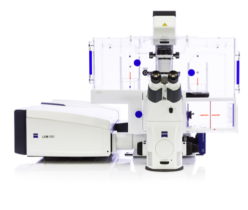 雷射掃描共軛焦顯微鏡 Confocal Microscope-Zeiss LSM880