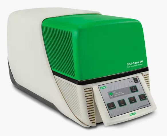 CFX Opus Real-Time PCR Systems Real-time fluorescent quantitative PCR detection system