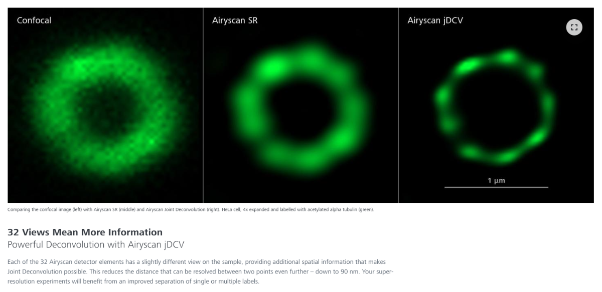 confocal vs. Airyscan SR