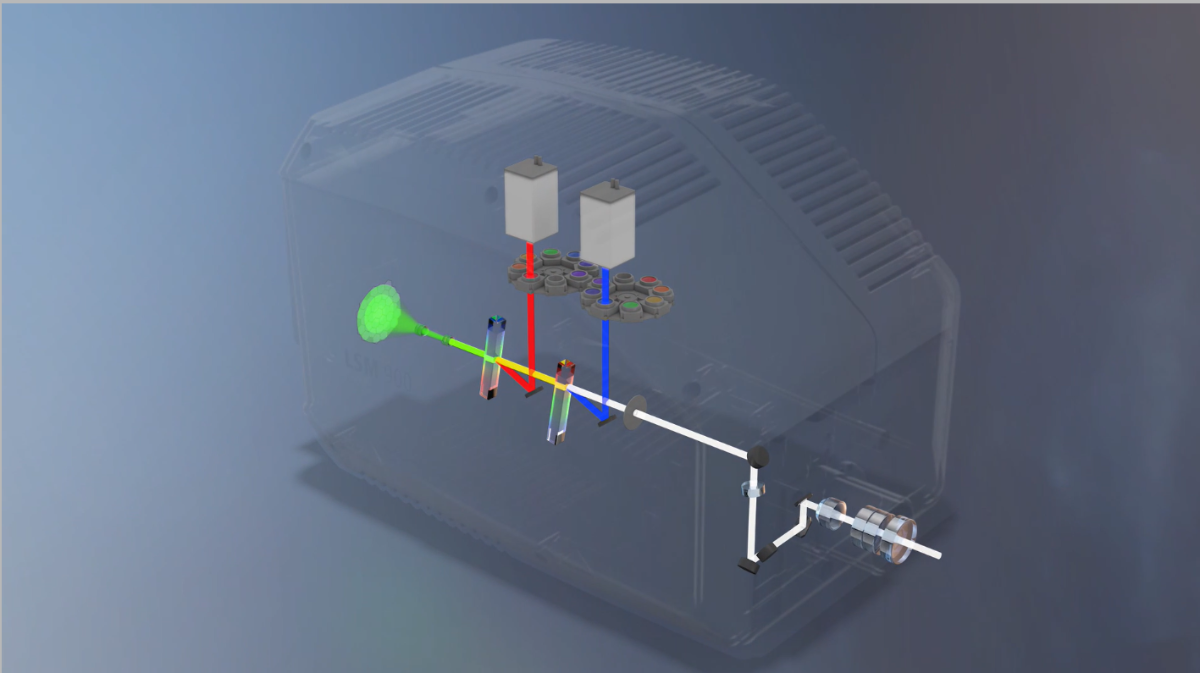 LSM900 scan head, 2 PMT and 1 GaAsP detector