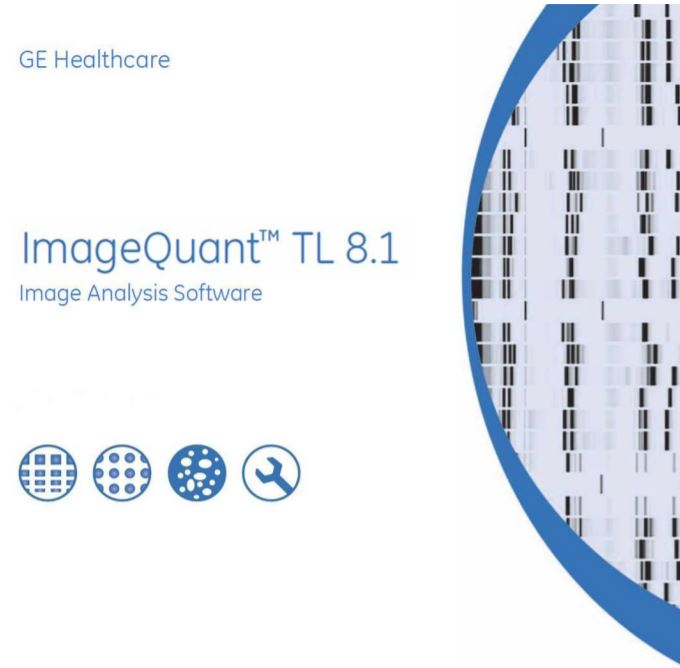 Image Analysis Software Online 10-Person Edition ImageQuant TL